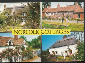 Norfolk Postcard - Views of Norfolk Cottages   WC173