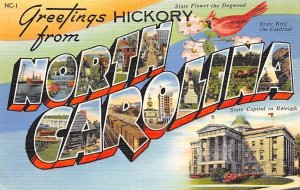 Greetings From Hickory, North Carolina USA Unused 