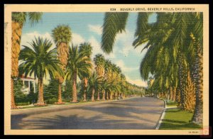 Beverly Drive, Beverly Hills, Calif