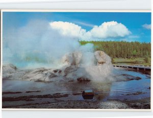 Postcard The awesome shape of Grotto Geyser, Yellowstone National Park, Wyoming