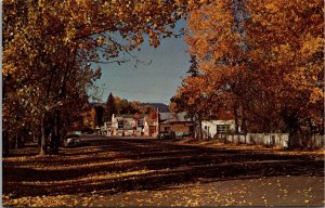 Main Road Through Chester CA, 76 Gas Station Vintage Postcard Q52