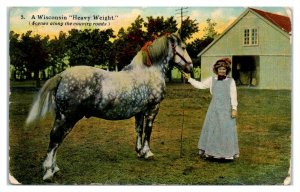 1911 A Wisconsin Heavy Weight, Draft Horse Postcard *6E(2)13