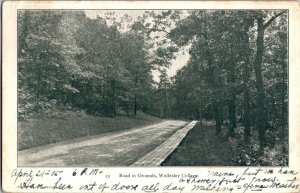 View of Road in the Grounds of Wellesley College, MA c1905 Vintage Postcard M75