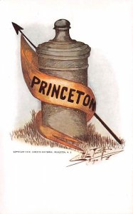 The History of Princeton's Cannons By English Army After Revolutionary War Pr...