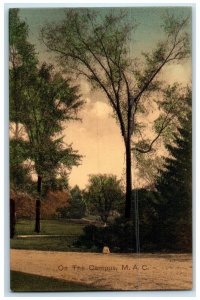 c1950's On The Campus Dirt Road Groves Lansing Michigan MI Unposted Postcard