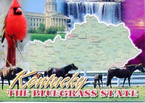 KENTUCKY: The Blue Grass State