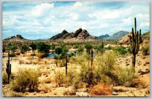 Vtg Phoenix Arizona AZ Papago Park Saguaro Cactus Camelback Mountain Postcard