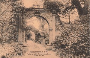 Reichenbach i. Schl. Germany now Dzierżoniów Poland~Old Portal vom Haus Postcard