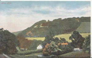 Surrey Postcard - View of Box Hill - Ref 5664A