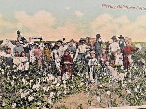 Postcard Hand Tinted View of Men, Women & Children Picking Oklahoma Cotton.  X3