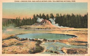 Crested Pool Castle Geyser Yellowstone National Park Vintage Postcard 1930