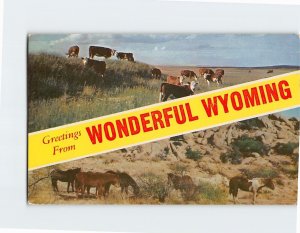 M-199448 Greetings from Wonderful Wyoming USA