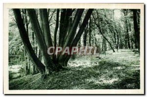 Postcard Old Neighbors Louveciennes Chateau Sous Bois