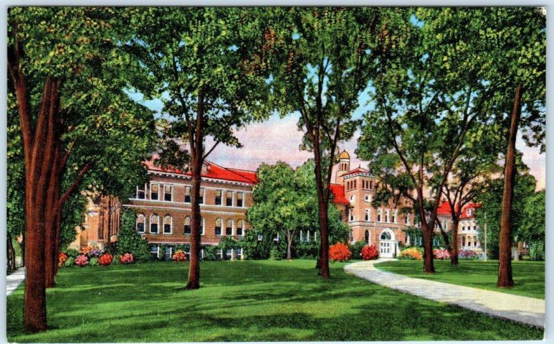 STEVENS POINT, Wisconsin WI    Central State TEACHER'S COLLEGE  c1940s  Postcard