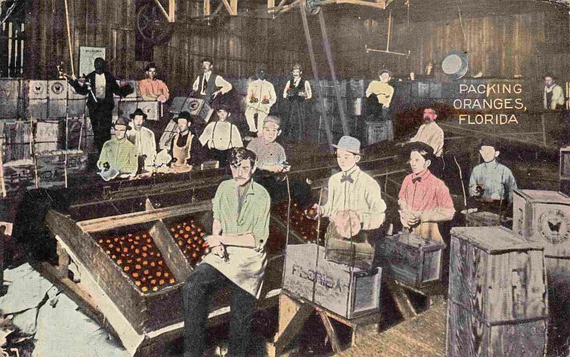 Packing Oranges in Packing House Florida 1920 postcard