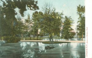 Concord NH Scene in White's Park  Undivided Back Postcard Unused