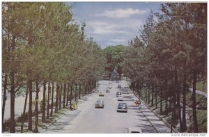 Los Caobos Park , CARACAS , Venezula , 50-60s