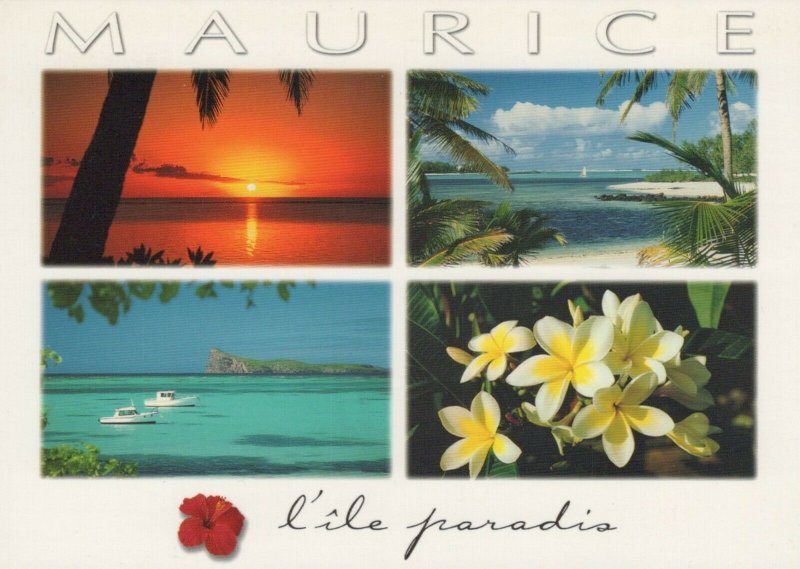 Mauritius Postcard - Views of The Paradise Island  RR8905