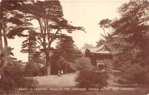 BR60494 cedars of lebanon  showing the japanese temple gates kew gardens  uk