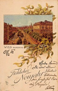 FRÖHLICHES NEUJAHR-HAPPY NEW YEAR-WIEN AUSTRIA-BURGRING-ORNATE 1902 POSTCARD