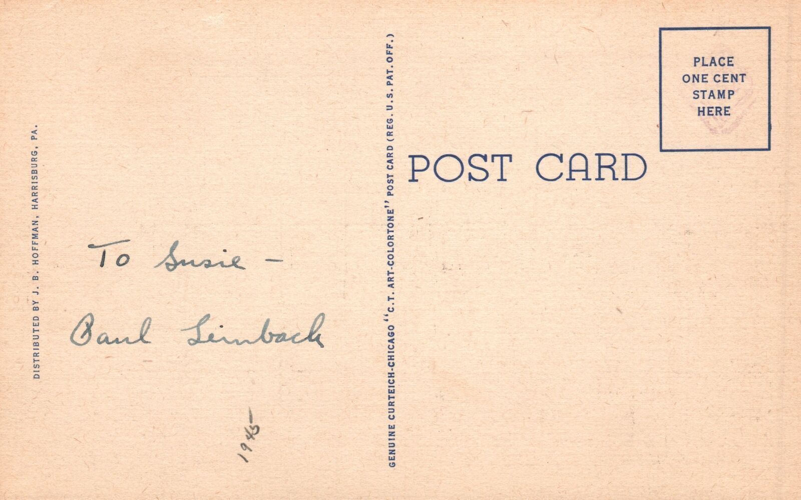 Vintage Postcard Municipal Rose Garden Beauty Spot Harrisburg