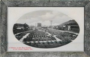 Postcard Oregon Eugene Glimpse Rose Garden Frame like PNC C-1910 23-5592