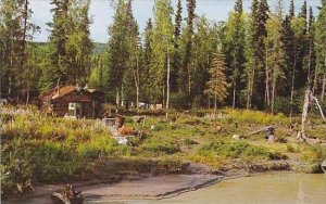 Alaska Fairbanks Homesteader's Cabin On Tanana River