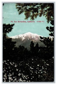 Postcard Mount San Bernardino California pc2011