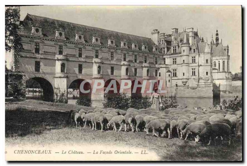 Old Postcard Chateau Chenonceau The Eastern Facade Shepherd Sheep