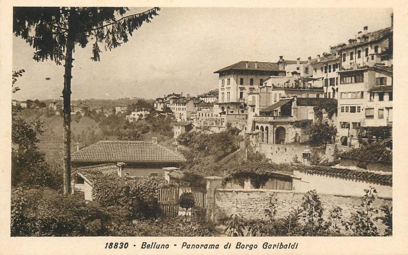 ITALY Belluno Borgo Garibaldi panorama