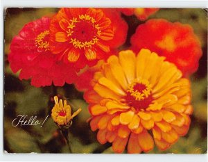 Postcard Flower Print Hello Greeting Card