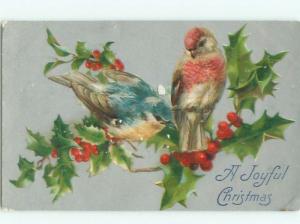 Divided-Back BIRDS SCENE Pretty Postcard AA8743