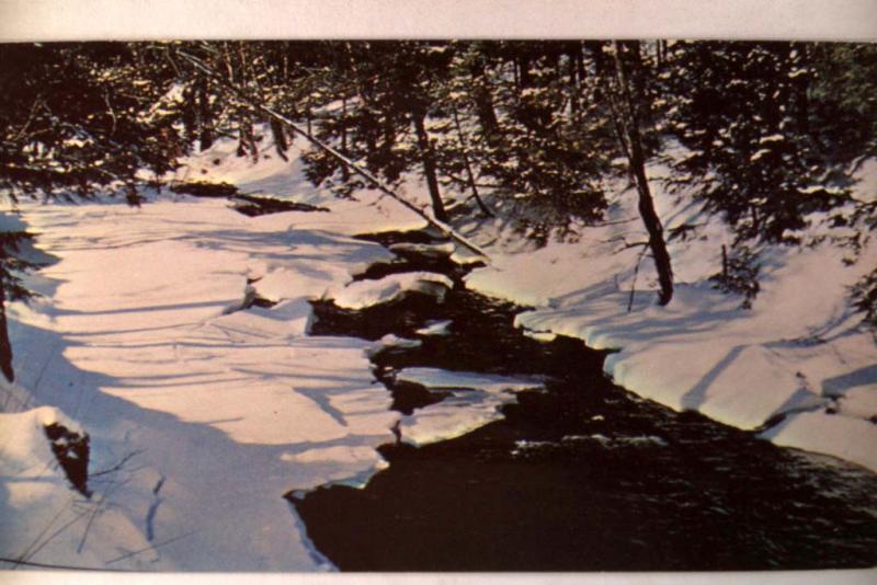 Unused pre-1970 WINTER SCENE AT CHESTER INN - Chester Vermont VT postcard y2801