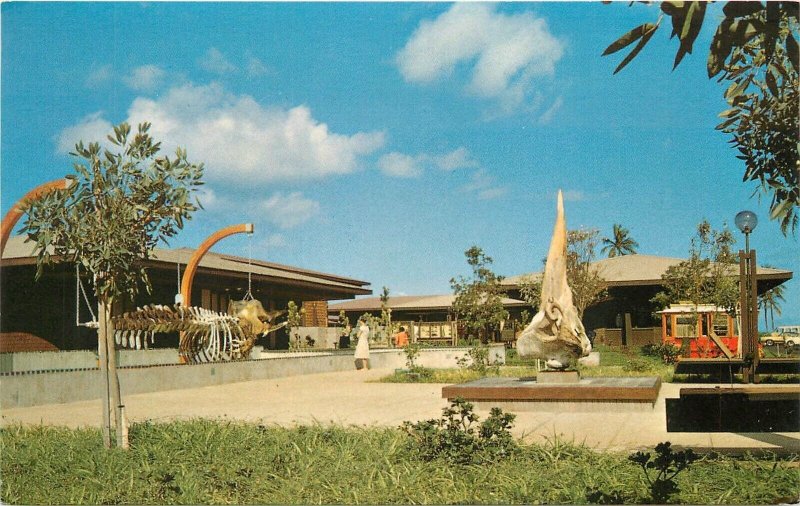 Postcard Hawaii Kaanapali Lahaina Whalers Village Helbig's Crocker 23-10110