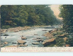 Pre-1907 RIVER SCENE IN THE PARK Postmarked Philadelphia Pennsylvania PA hp9612