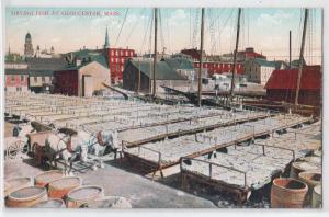 Drying Fish, Gloucester MA