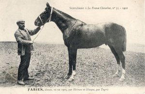 Fabien La France Chevaline 1905 Race Horse Antique PB Postcard