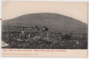 Mont Tabor et plaine d'Esdrelon
