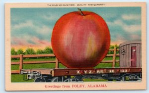 Greetings From FOLEY, AL Alabama ~ APPLE EXAGERRATION c1940s Linen Postcard