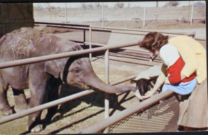 Maytag Zoological Park Phoenix