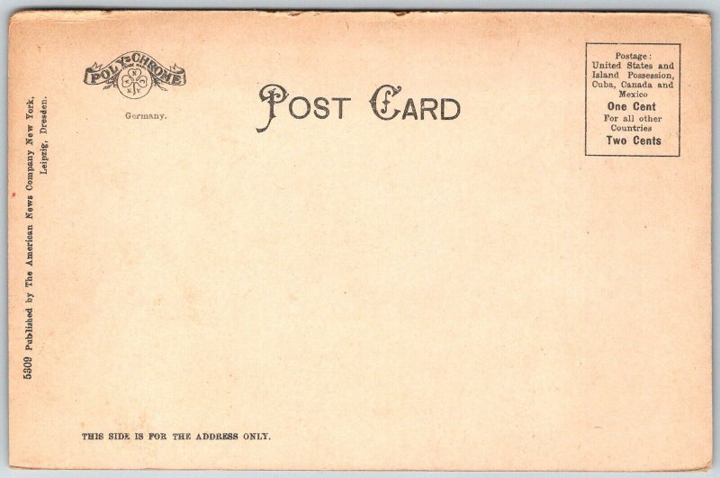 Loon Lake Adirondack Mountains New York c1906 Postcard