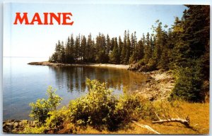 Postcard - Driftwood and spruce accent this view of a Quiet Cove - Maine