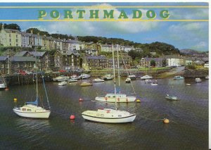 Wales Postcard - Porthmadog - Gwynedd - Caernarvonshire - Ref TZ8580