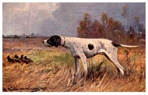 Dog , Pointer , Grouse