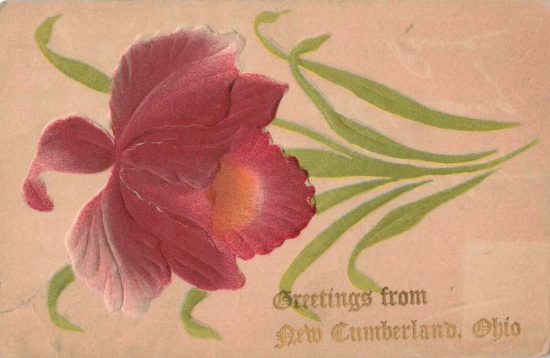 Circa 1909 Air Brushed New Cumberland, Ohio Iris Flower Postcard 10c1-417