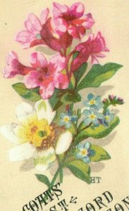 1880's J&P. Coats Thread Flowers Card Lot of 2 Trade Cards P57