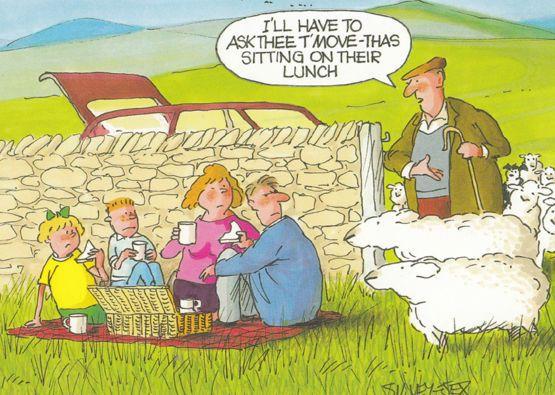 Eating A Picnic On Sheep Manure Farmer Arrives Comic Humour Postcard Topics Cartoons Comics Comics Postcard Hippostcard