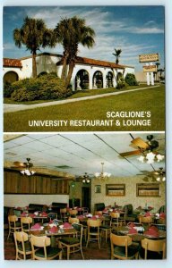 TAMPA, Florida FL ~ Roadside SCAGLIONE'S UNIVERSITY RESTAURANT 1960-70s Postcard