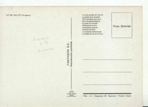 South America Postcard - Uruguay - Salto - Ref 10132A