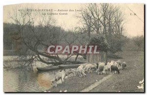 Postcard Old Ville d'Avray Around the Lakes La Cabane Corot Sheep